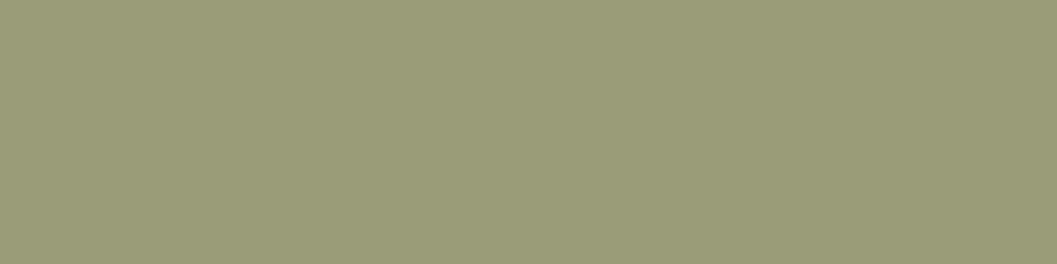 BKRitaly-food-retail-solutions-finitura-verde-salvia